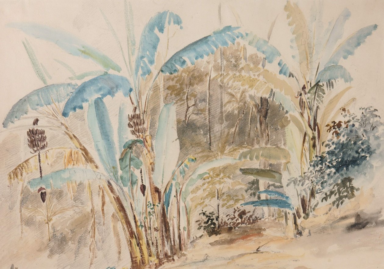 Bananeros av Camille Jacob Pissarro