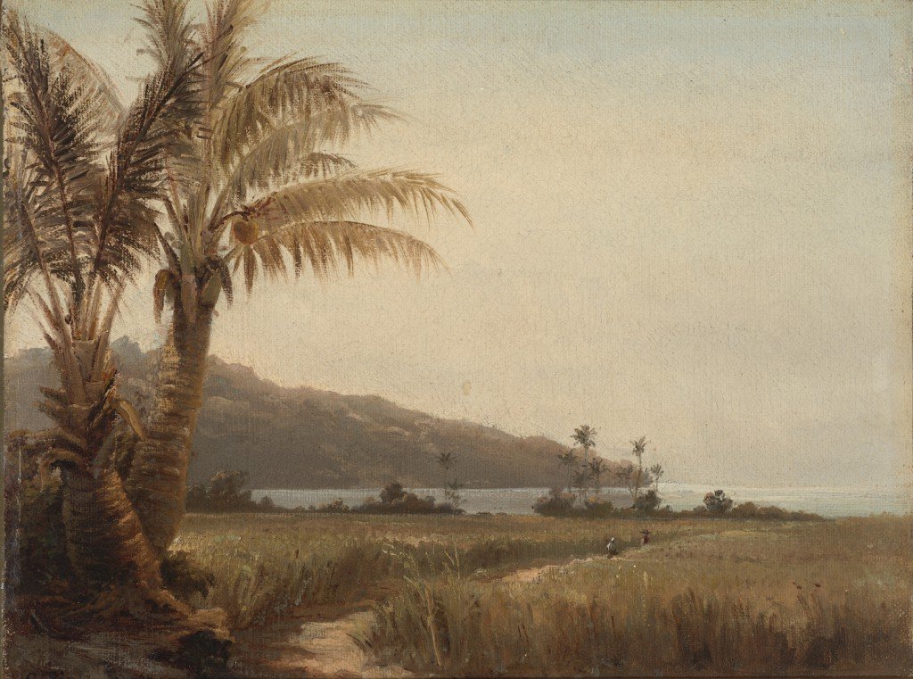 Kokosnötsträd vid havet av Camille Jacob Pissarro