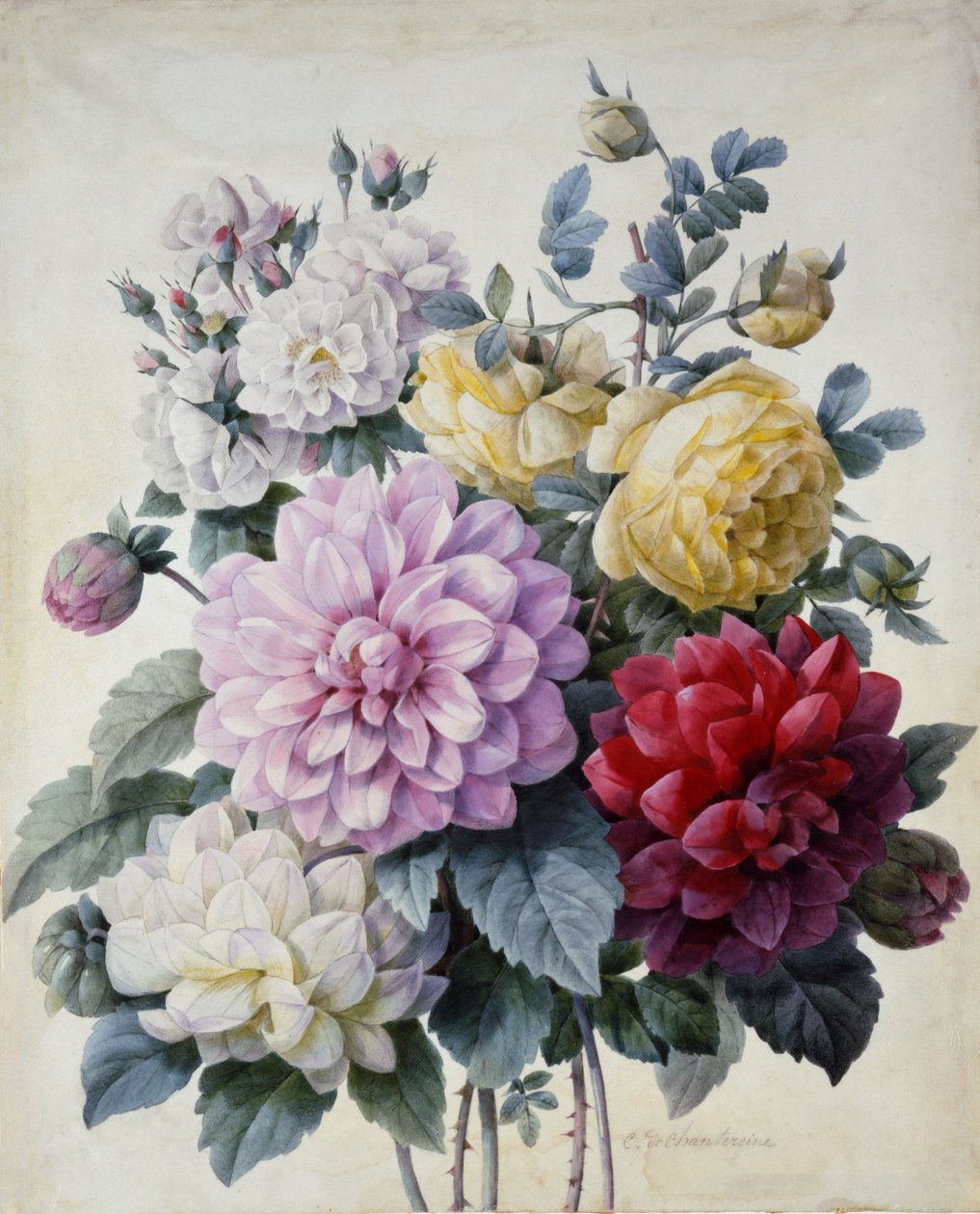 Bukett av blommor, dahlior och rosor, publicerad ca 1830-40 (sticksticksgravyr handfärgad) av Camille de Chantereine
