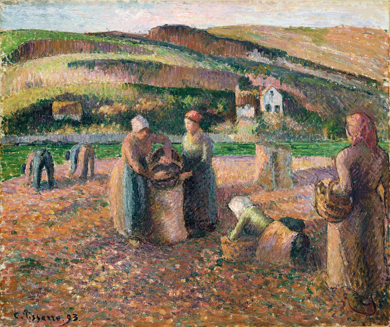 Plocka potatis, 1893 av Camille Jacob Pissarro