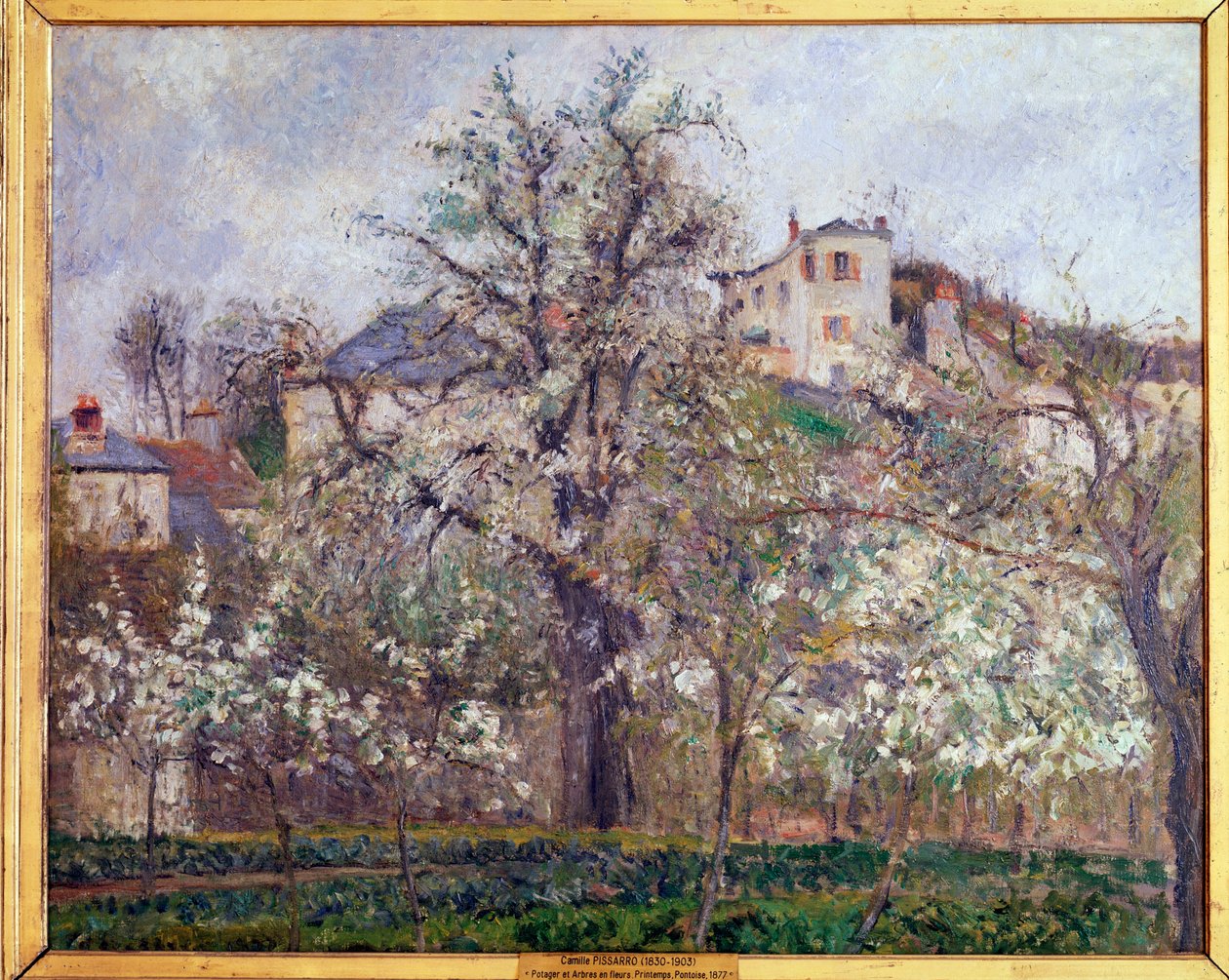 Vår, plommon blommar i Pontoise - olja på duk av Camille Jacob Pissarro