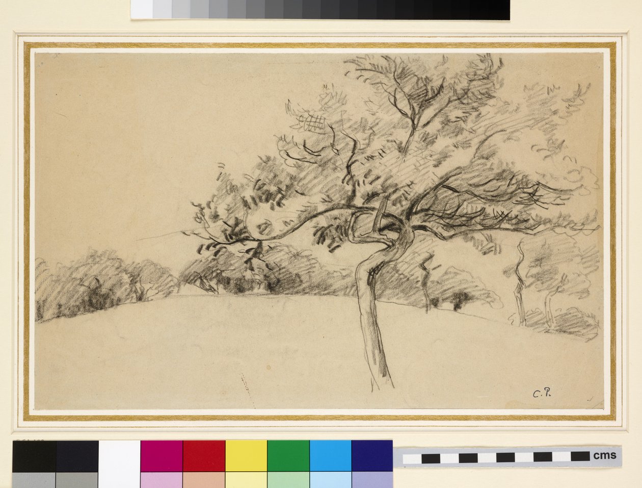 Studie av fruktträdgården i Eragny-sur-Epte med ett träd i förgrunden (svart krita på papper) av Camille Jacob Pissarro