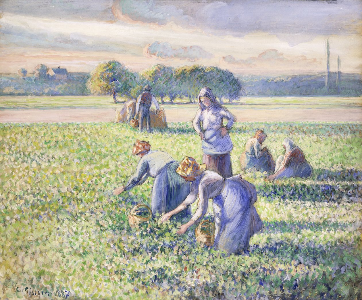Skörden av ärter, 1887 av Camille Jacob Pissarro
