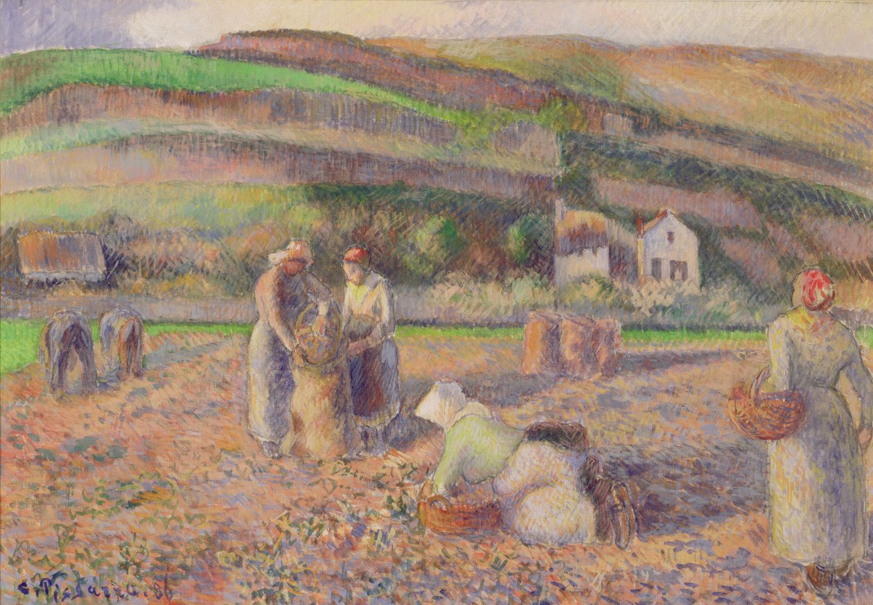 Potatisskörden, 1886 av Camille Jacob Pissarro