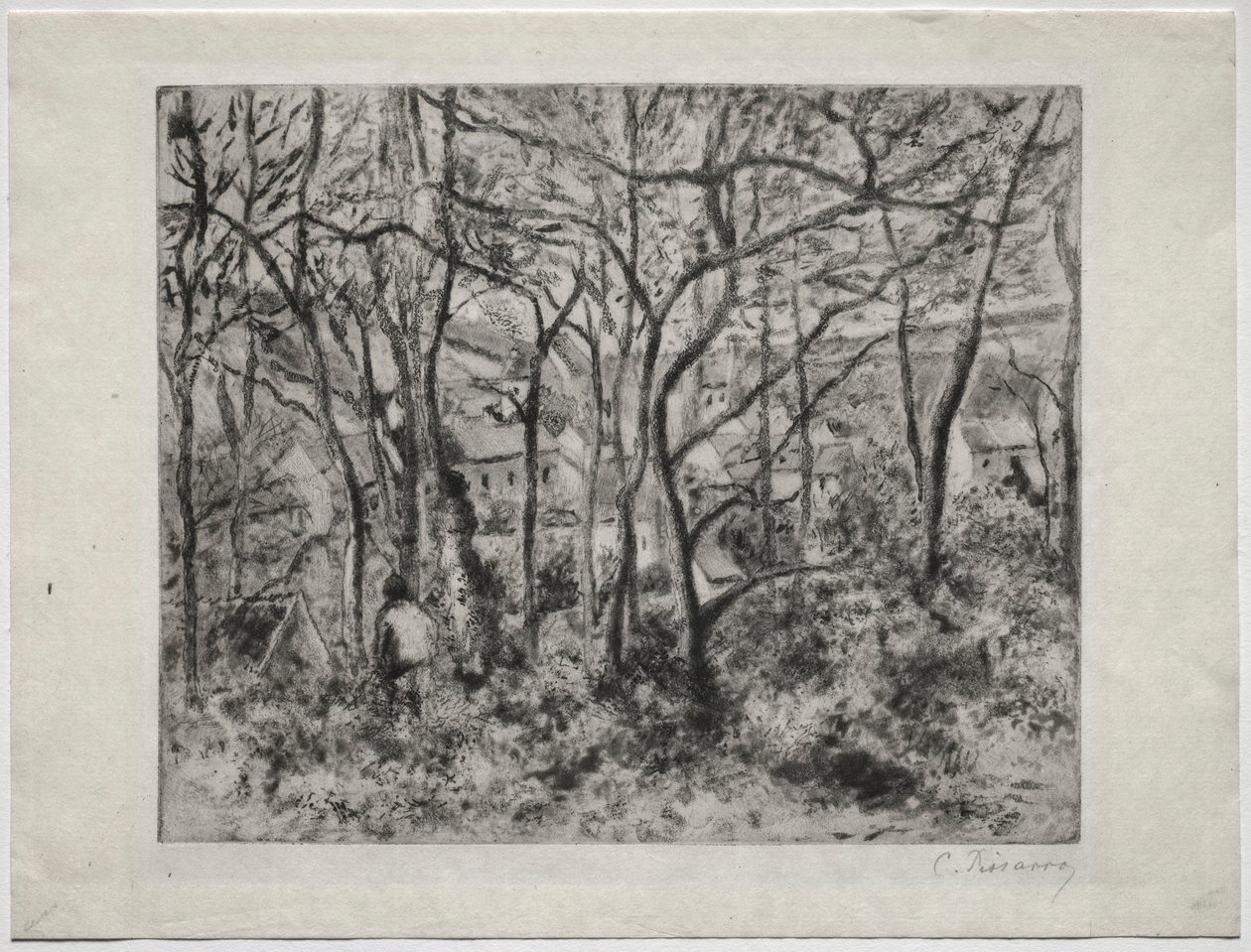 Skogbevuxen landskap vid LHermitage, Pontoise, 1879. av Camille Jacob Pissarro