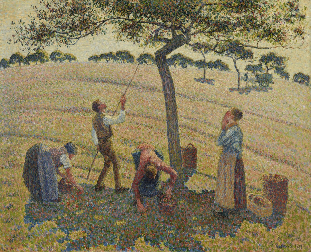 Äppelskörd av Camille Jacob Pissarro