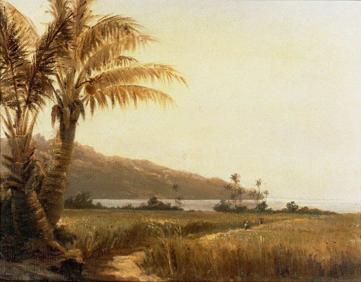 Kokospalmer vid havet, Saint Thomas, Antillerna ... (målning på duk) av Camille Pissarro
