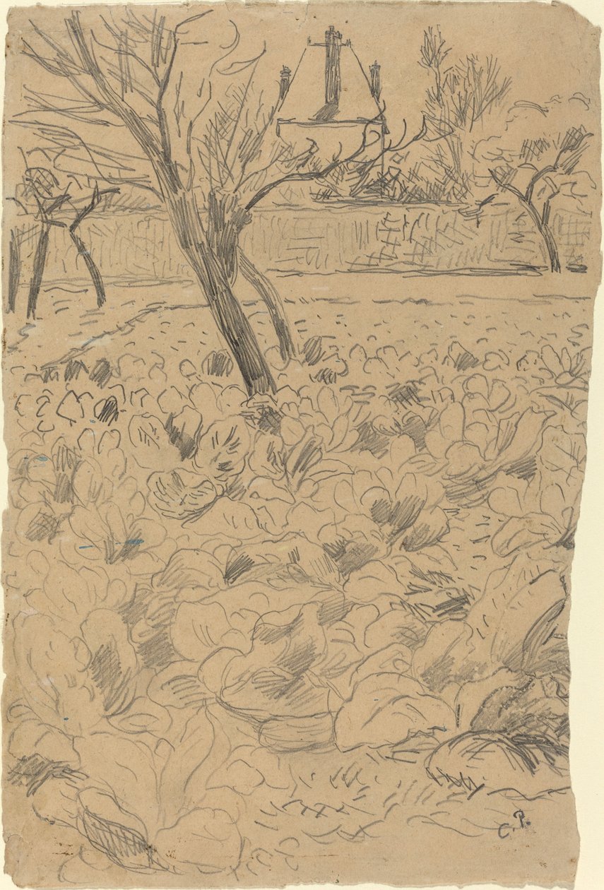 Kålfältet av Camille Pissarro