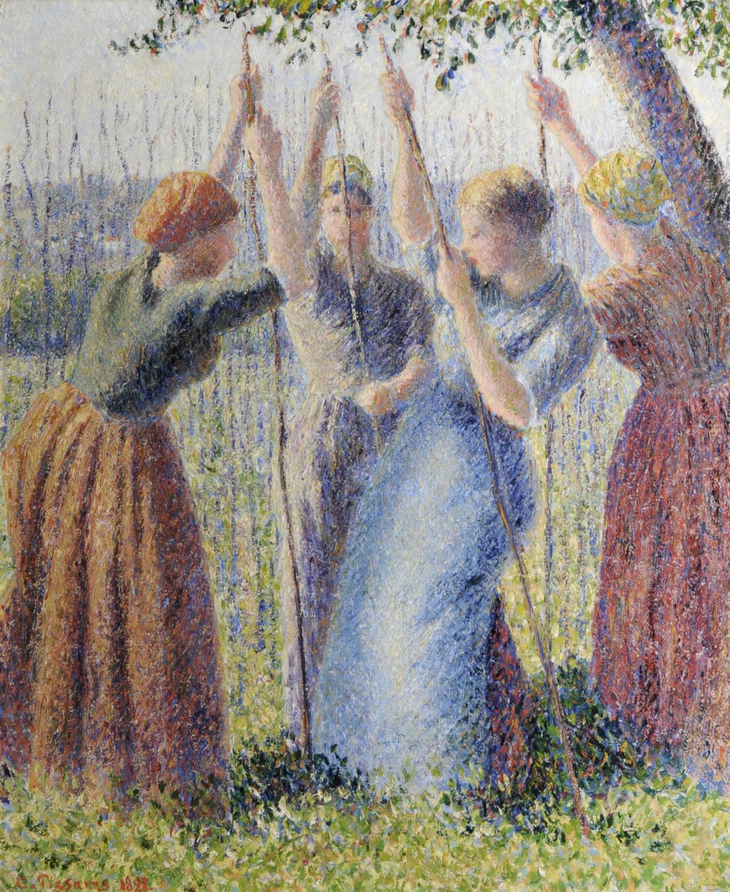 Bondekvinnor planterar ramslök av Camille Pissarro