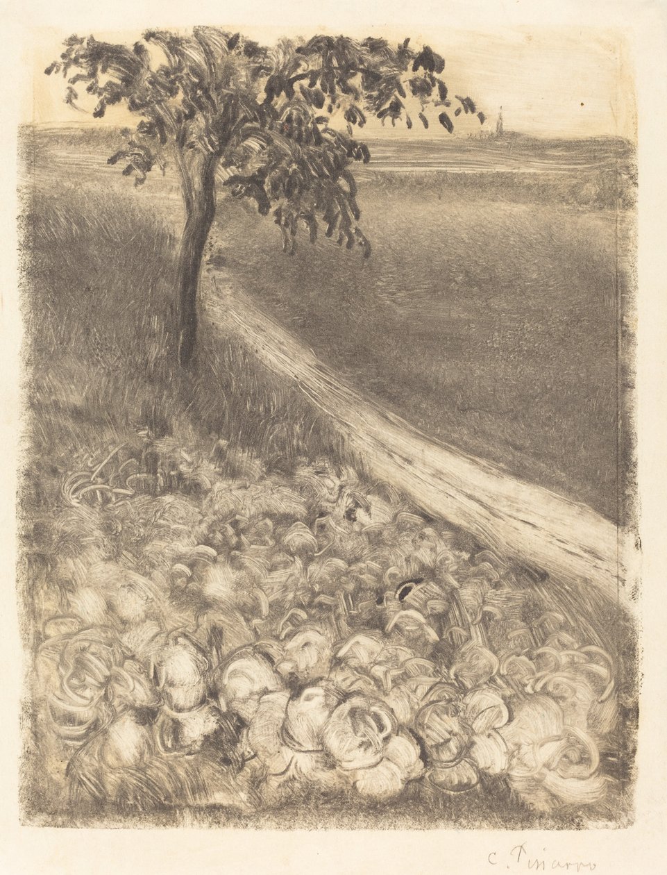 Vägen genom ett kålfält av Camille Pissarro