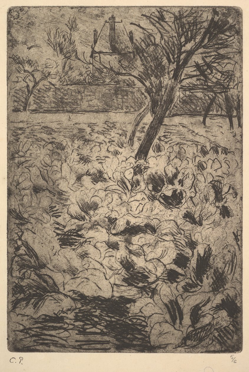 Kålfältet, ca. 1880. av Camille Jacob Pissarro