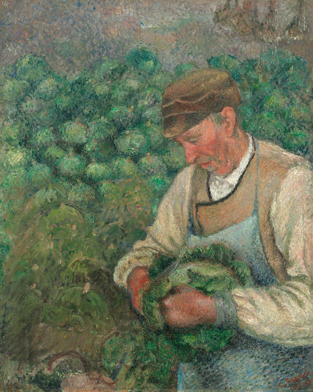 Trädgårdsmästaren - Gammal bonde med kål av Camille Pissarro