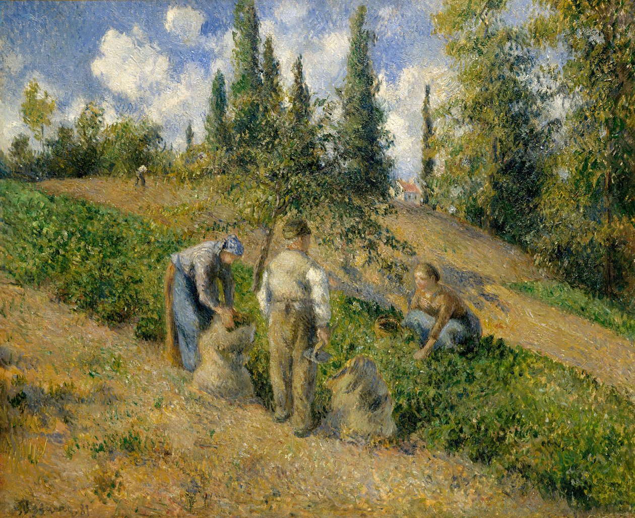 Skörden, Pontoise av Camille Jacob Pissarro