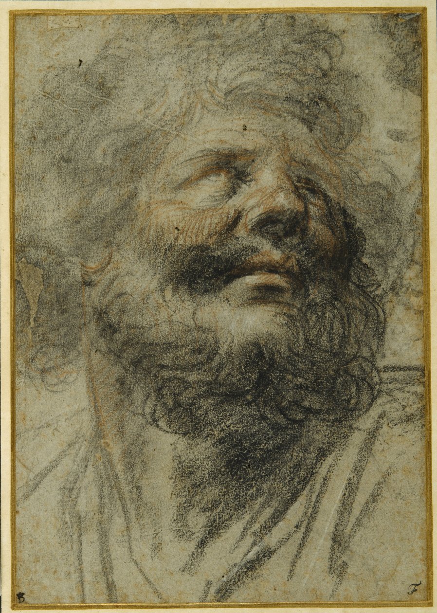 Huvudet på en skäggig man, tittar upp till höger (svarta och röda krita på grått papper) av Camillo Procaccini
