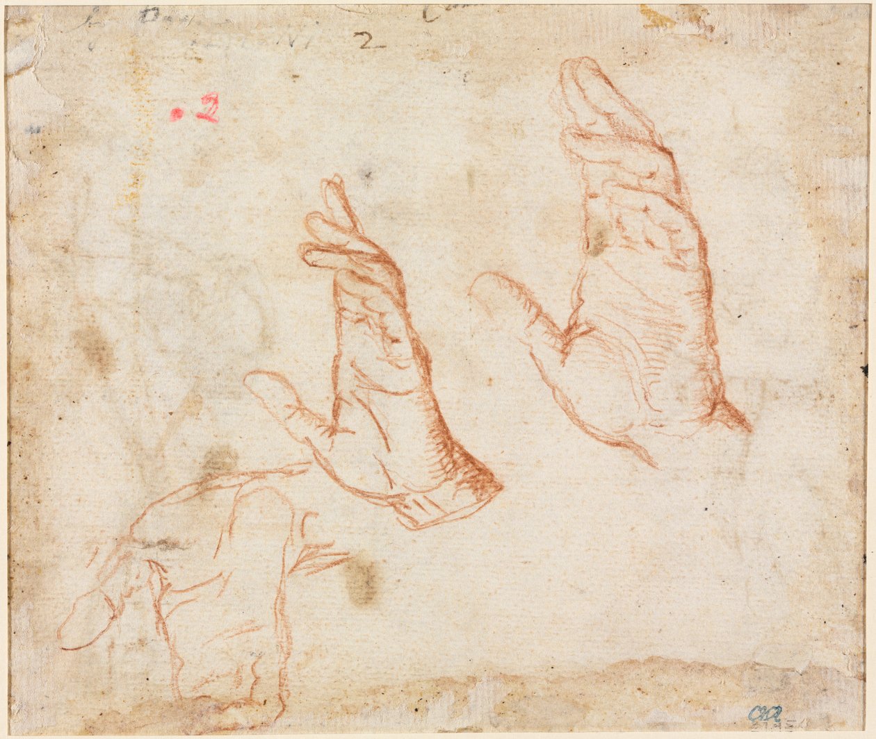 Study of Hands verso, c. 1590. av Camillo Procaccini