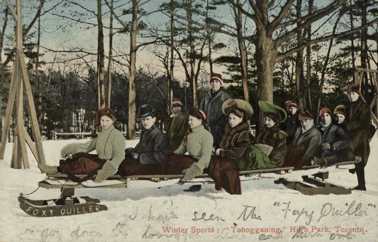 Kälkåkning, High Park, Toronto, Kanada (färgfoto) av Canadian Photographer
