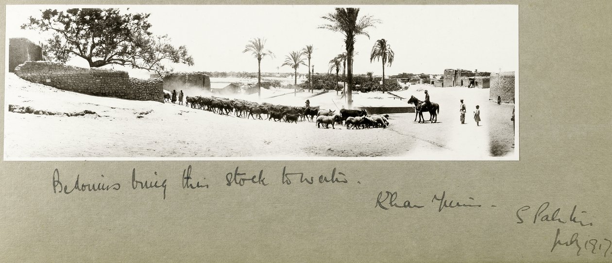 Beduiner tar sina bestånd till vattnet, Khan Yunis, södra Palestina, juli 1917 av Capt. Arthur Rhodes