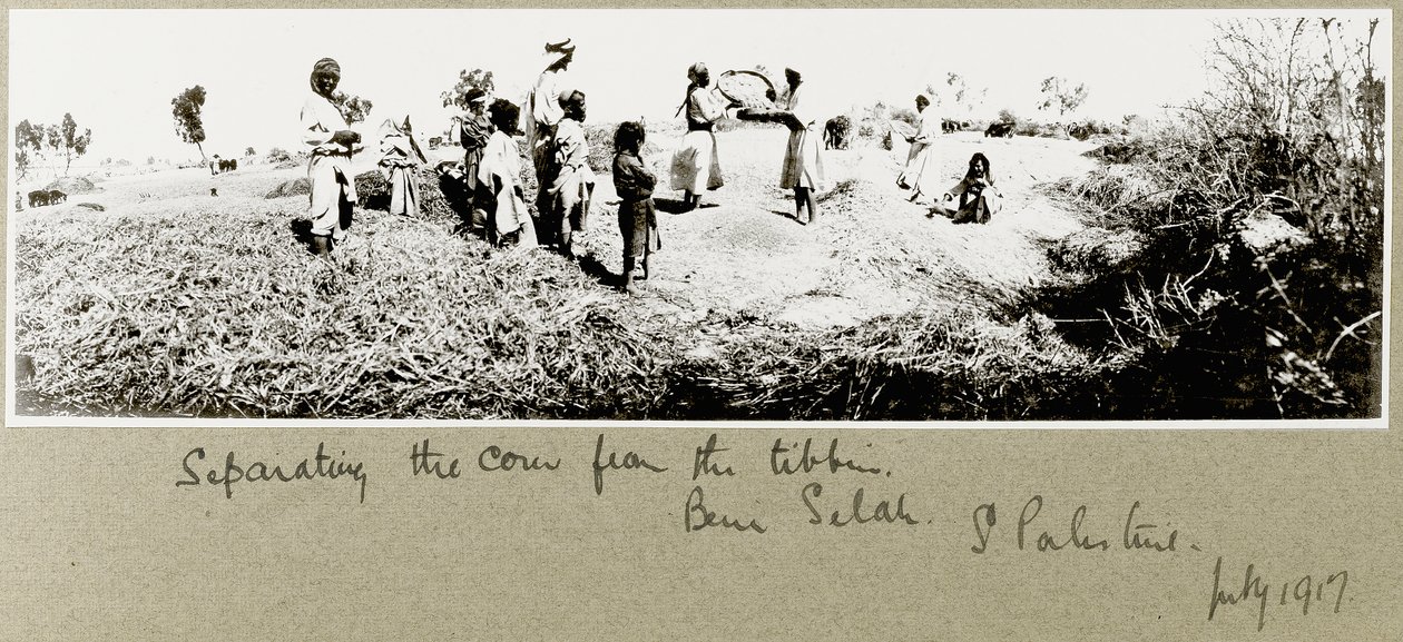 Beduiner som separerar majs, Beni Saleh, juli 1917 av Capt. Arthur Rhodes