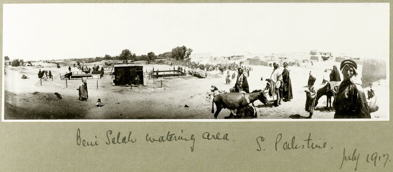 Beni Salehs bevattningsområde, juli 1917 av Capt. Arthur Rhodes