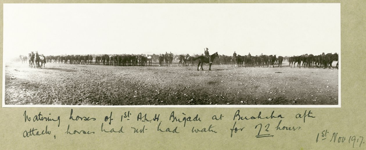 Vattnar hästar från 1:a L.A.H. brigaden i Beersheba efter anfallet, hästarna hade inte fått vatten på 72 timmar, 1 november 1917. av Capt. Arthur Rhodes