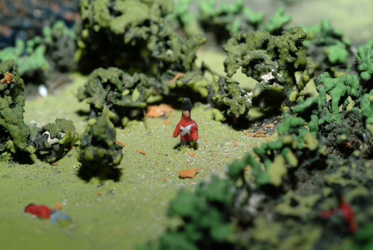 Diorama från slaget vid Waterloo som visar trupper placerade kl. 19.45 den 18 juni 1815 (blandade media) (detaljer) av Capt. William Siborne