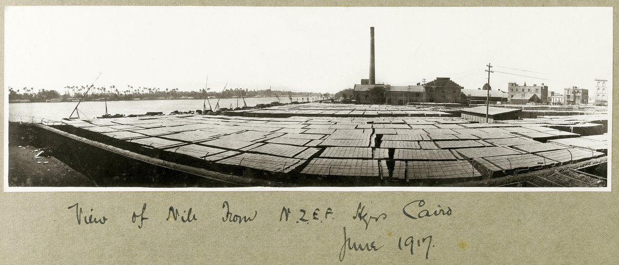 Utsikt över Nilen från N.Z.M.F.A. Högkvarter, Kairo, juni 1917 av Capt. Arthur Rhodes