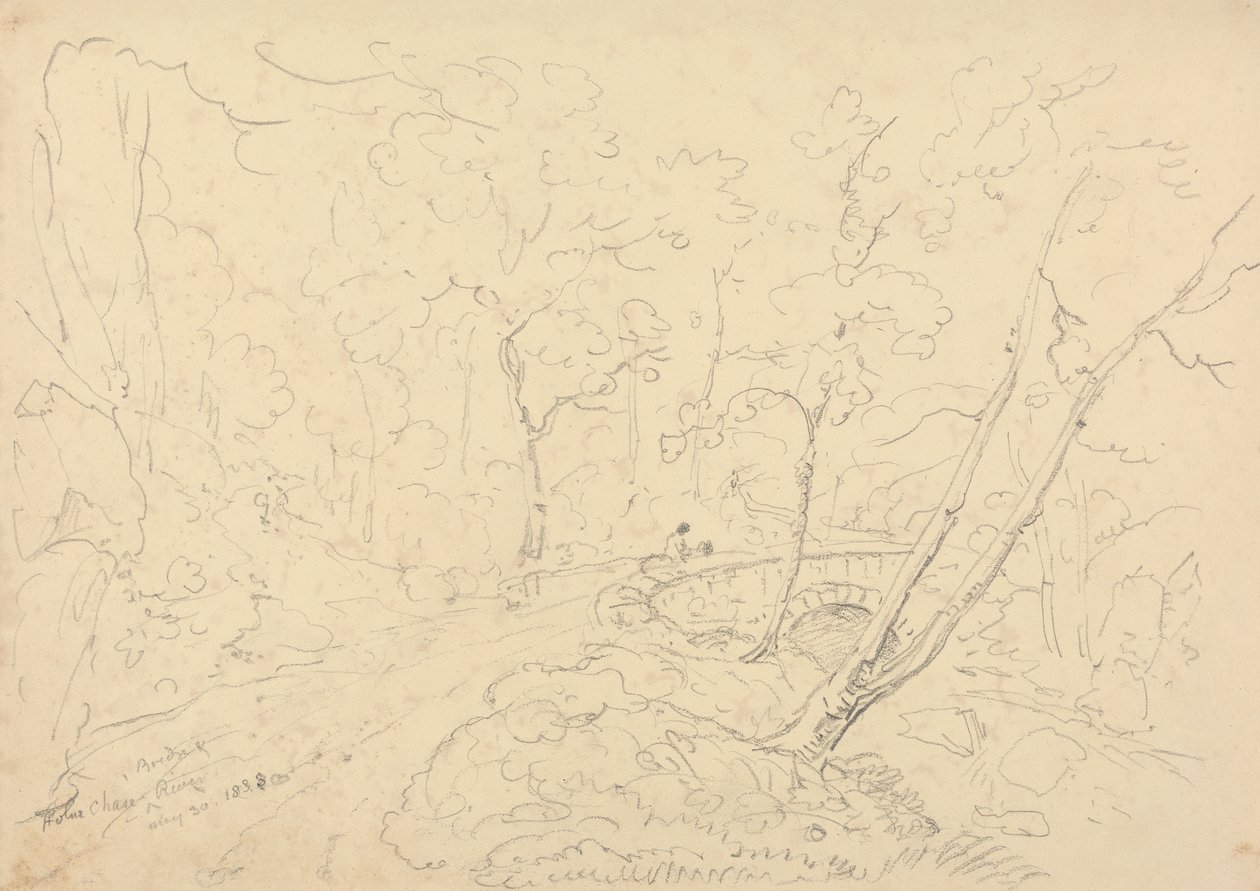 Holne Chase Bridge and River, 30 maj 1833 av Capt. Thomas Hastings