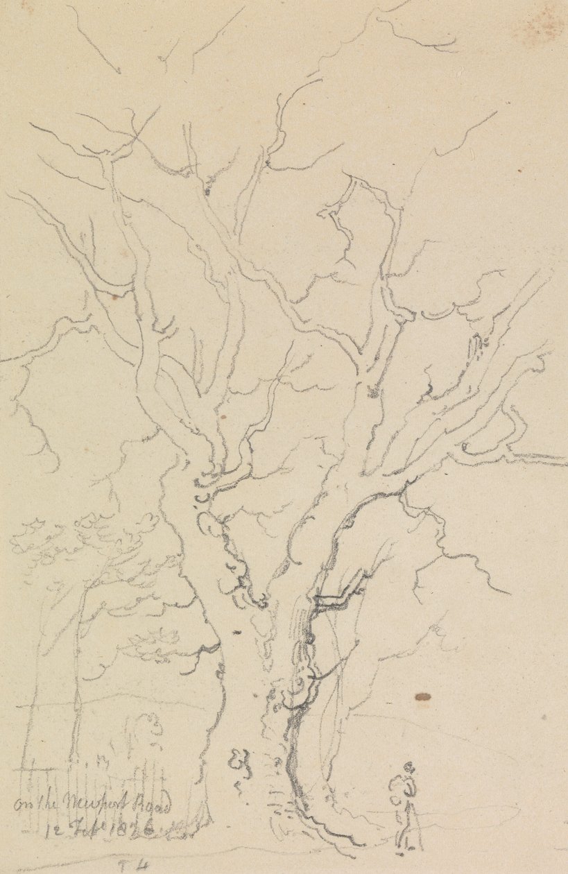 På Newport Road, 12 februari 1826 av Capt. Thomas Hastings