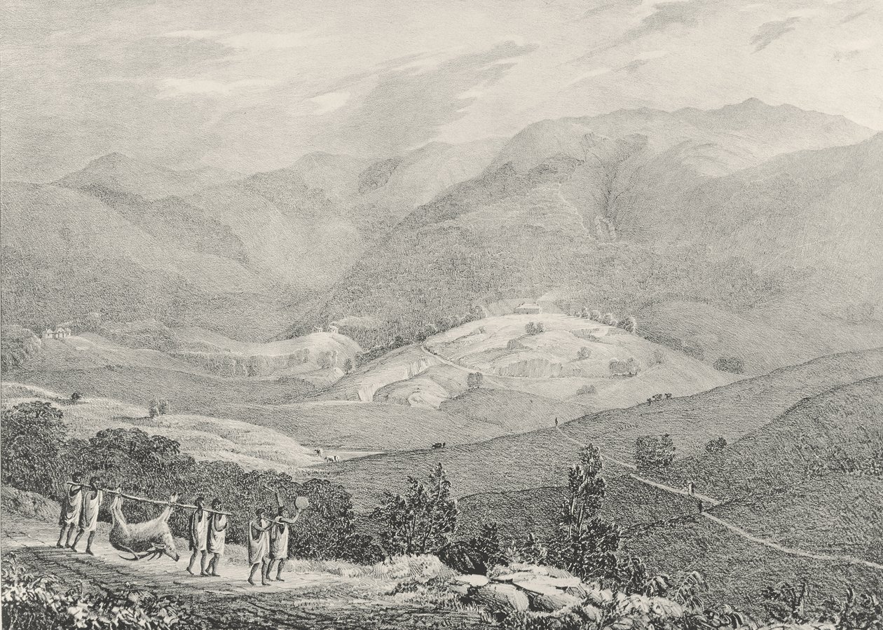 Ottacamund, View of the Great Dodabetta, Neelgherry Mountains, plate 4 from 