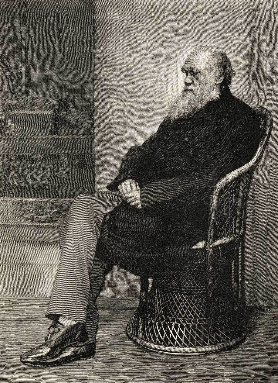 Charles Darwin, illustration från Charles Darwins liv och brev, volym II, publicerad 1887. av Captain L. Darwin