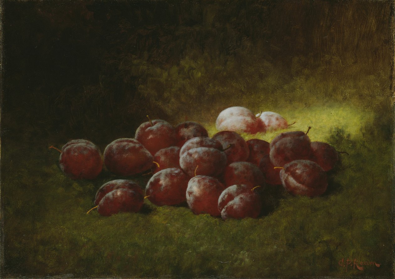 Lila plommon, 1895. av Carducius Plantagenet Ream