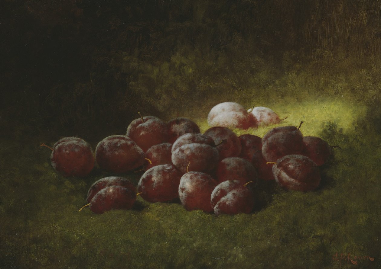 Lila plommon, 1895 av Carducius Plantagenet Ream