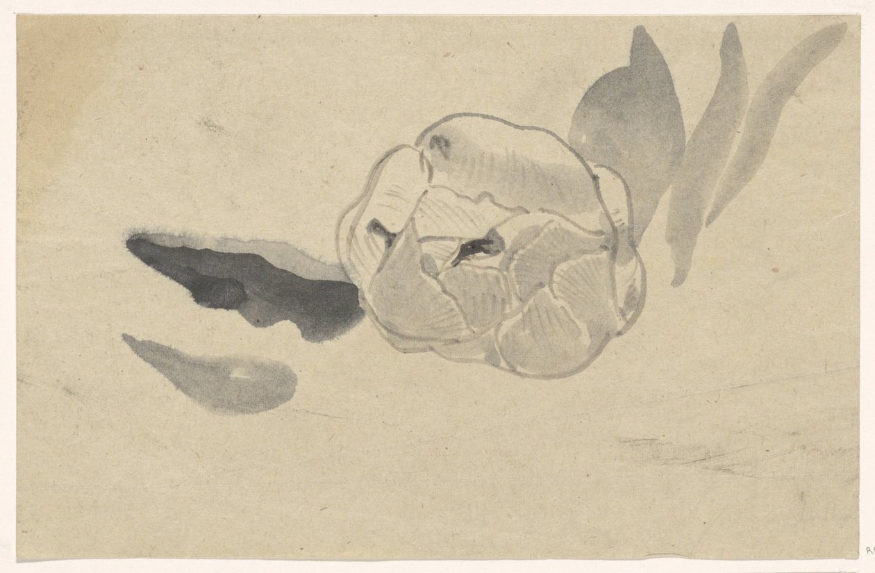 Blomstudie av Carel Adolph Lion Cachet