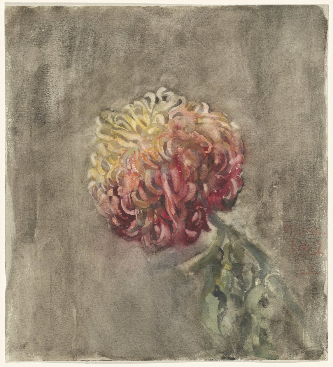 röd krysantemum av Carel Adolph Lion Cachet