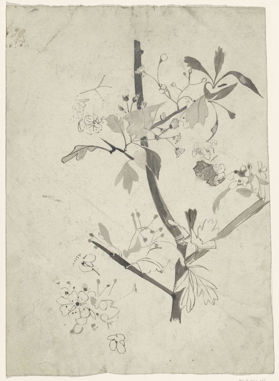 Gren med blomma av Carel Adolph Lion Cachet