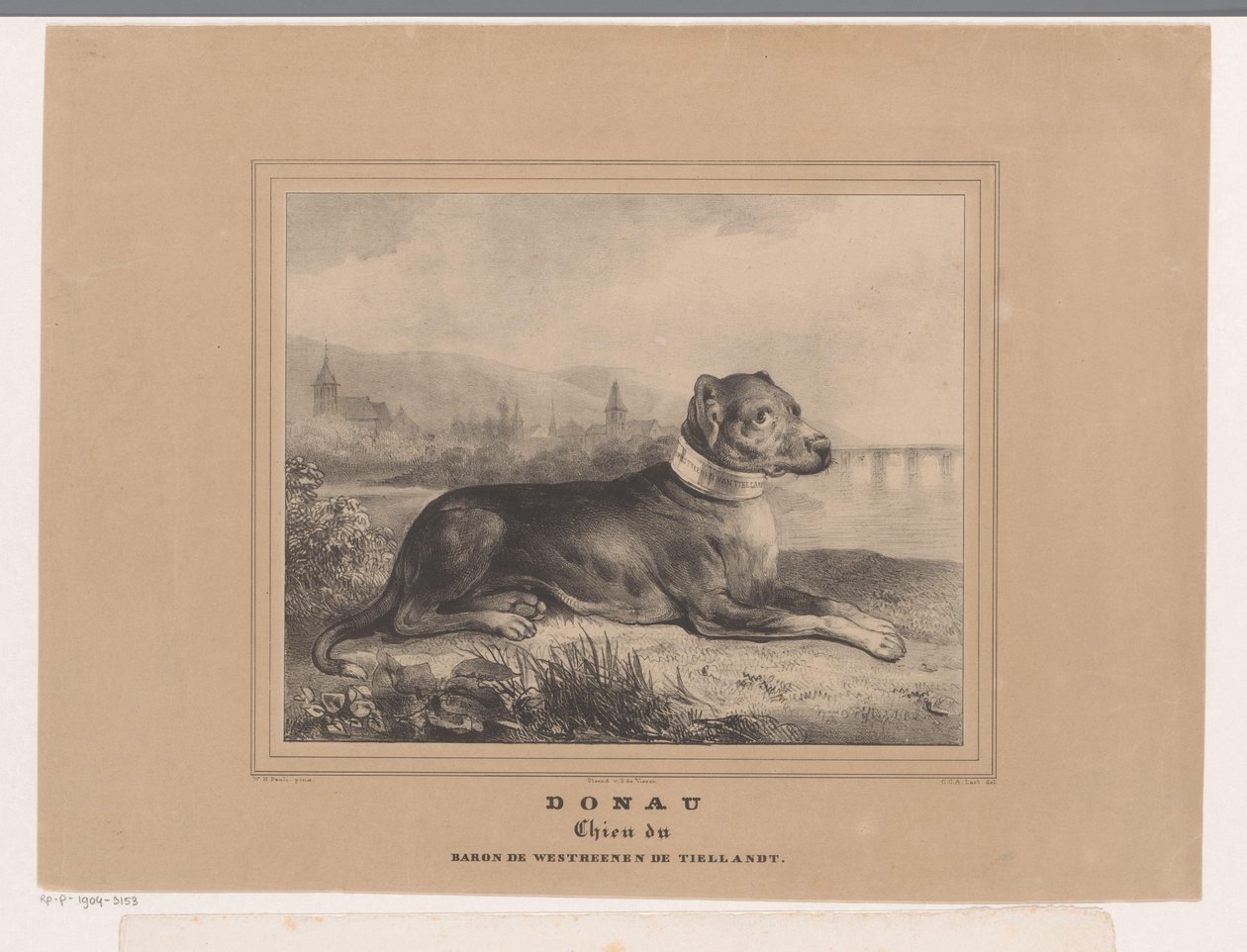 Hund Donau Donau. Chien du Baron de Westreenen de Tiellandt (titel på objekt) av Carel Christiaan Antony Last