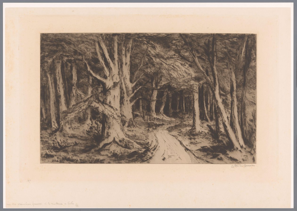 Skogsbryn med skogsstig Entré till skogen (originaltitel) av Carel Nicolaas Storm van 