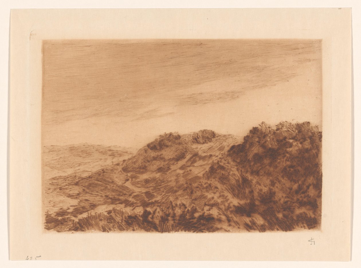 Dune landskap nära Haag av Carel Nicolaas Storm van 