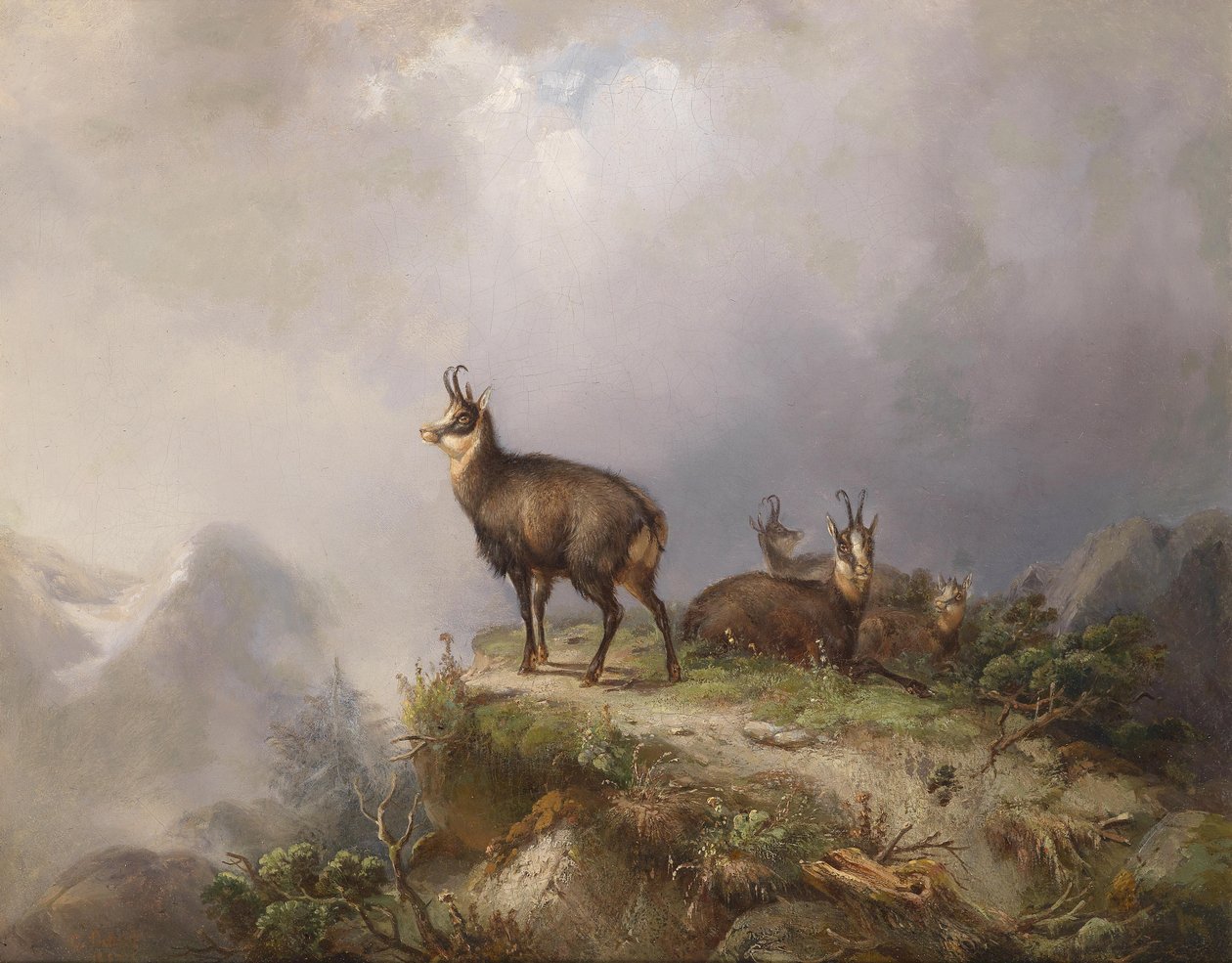 Gämsen av Carl Friedrich Ockert
