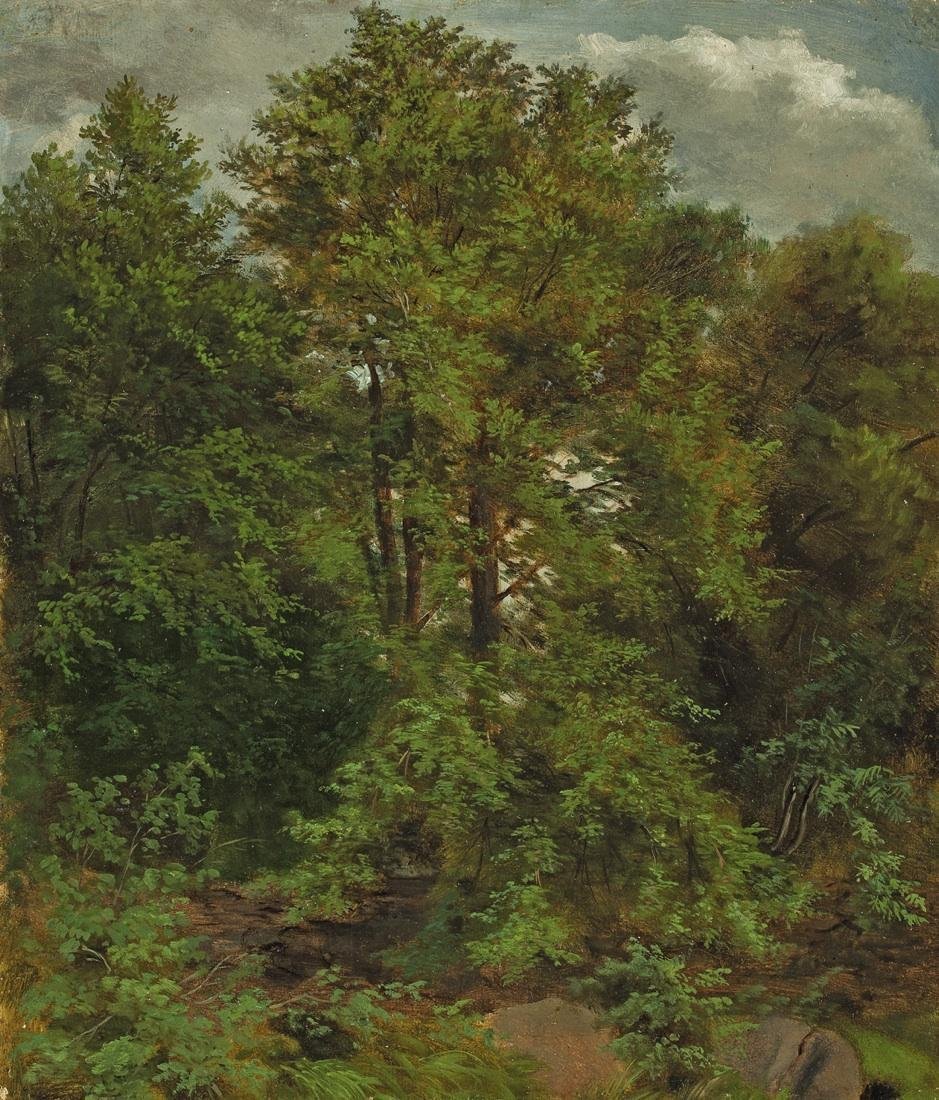 Motiv von der Pillnitzer Elbinsel av Carl Gustav Carus