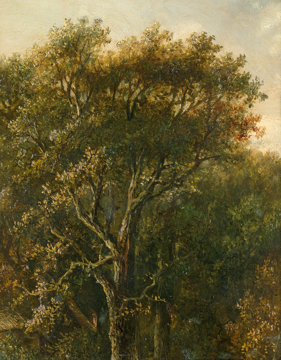 Waldstuck mit Eichenbaum av Carl Gustav Carus