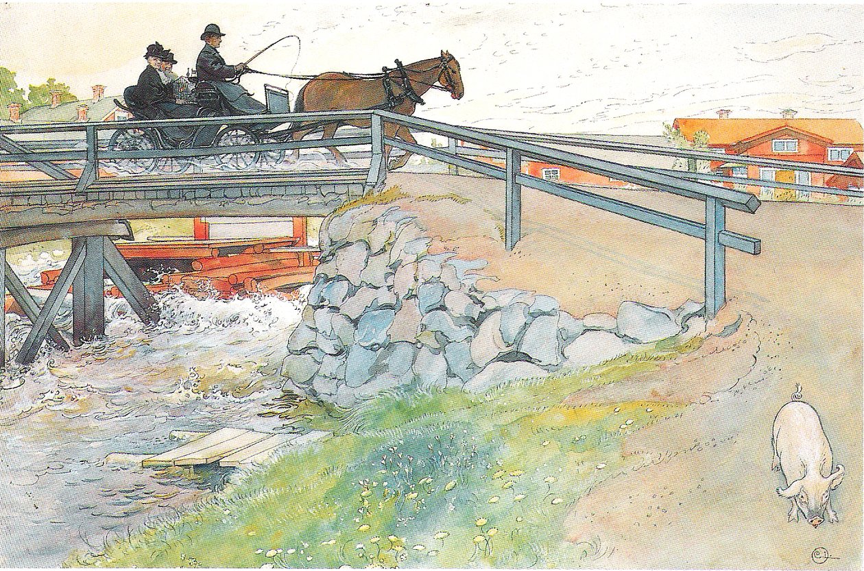 Bron av Carl Larsson