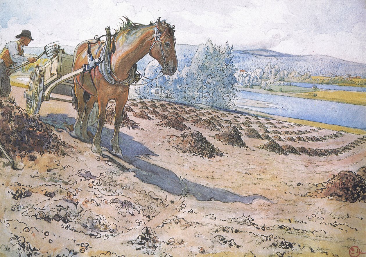 Muck sprider sig på en träda av Carl Larsson