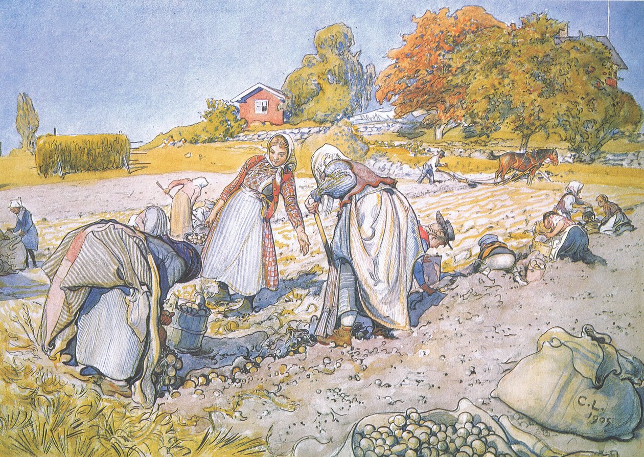 Barnen fyllde hinkarna och korgarna med potatis av Carl Larsson
