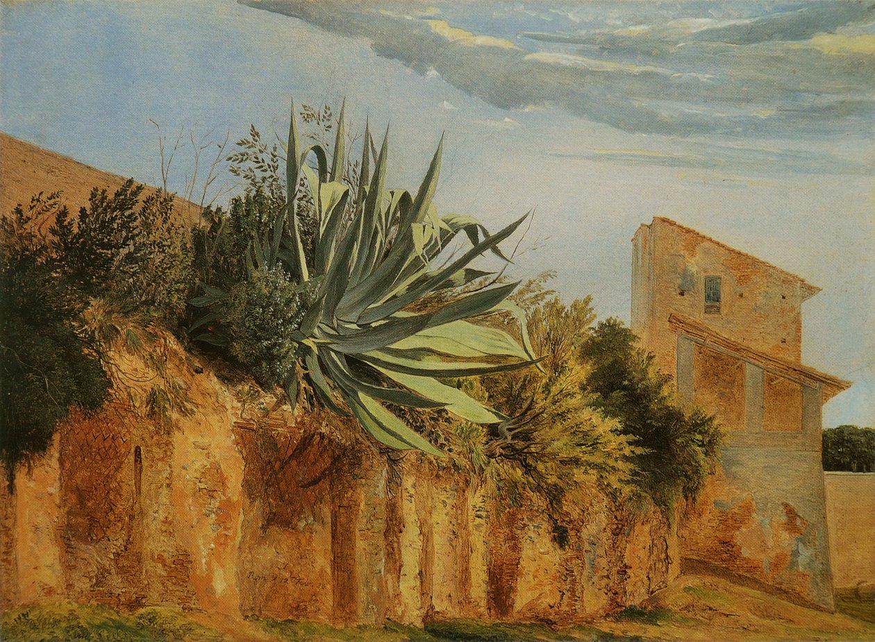  An der Stadtmauer von RomnFrancais : Agave sur un mur de Romen av Carl Wagner