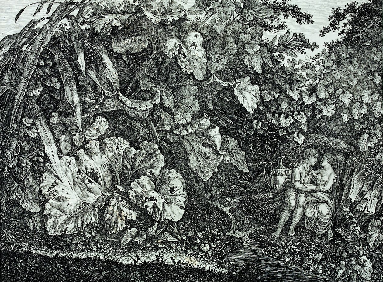 Älskare i en grotta, omgiven av växter och örter av Carl Wilhelm Kolbe