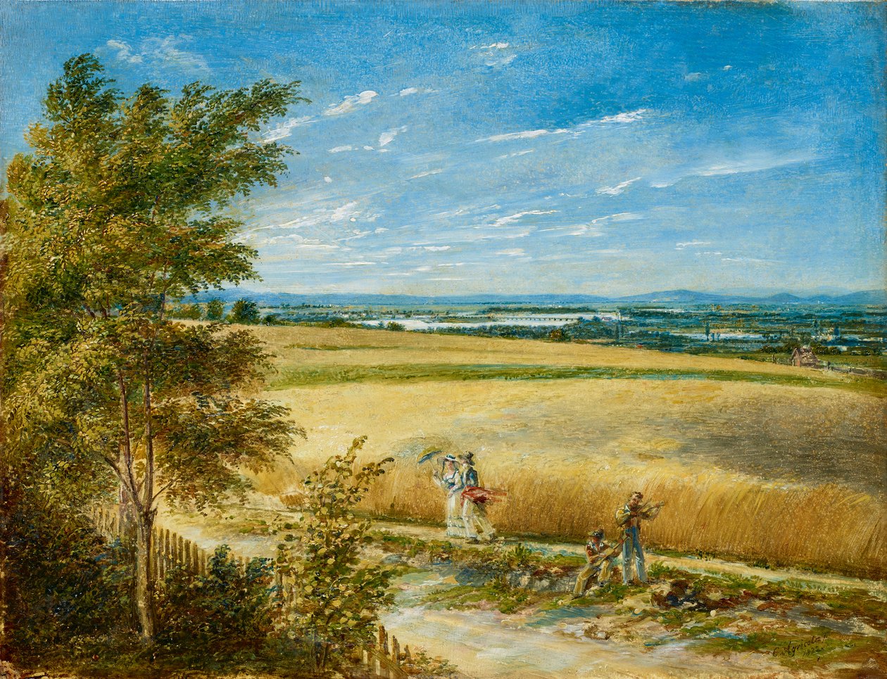 Donau med den gamla Reichsbrücke av Carl Agricola