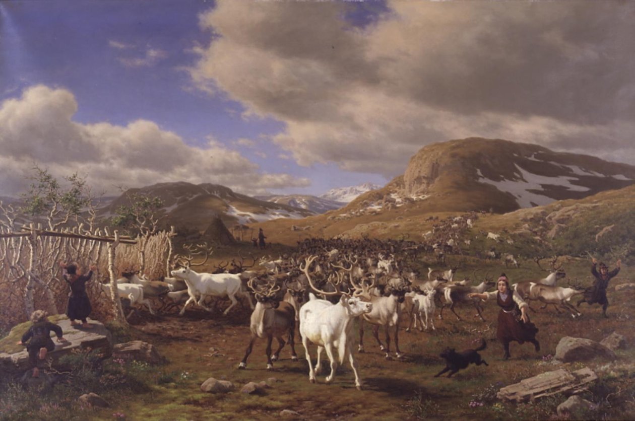 En renhjord körs till mjölkningsplatserna. Motivet från de höga bergen norr om Røros av Carl Bøgh