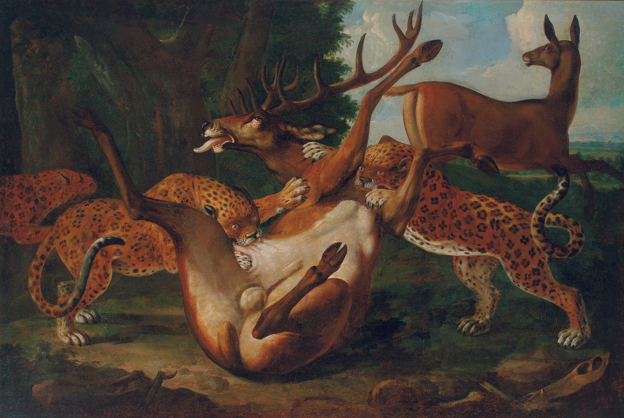 Leoparder som attackerar rådjur i ett landskap av Carl Borromaus Andreas Ruthart