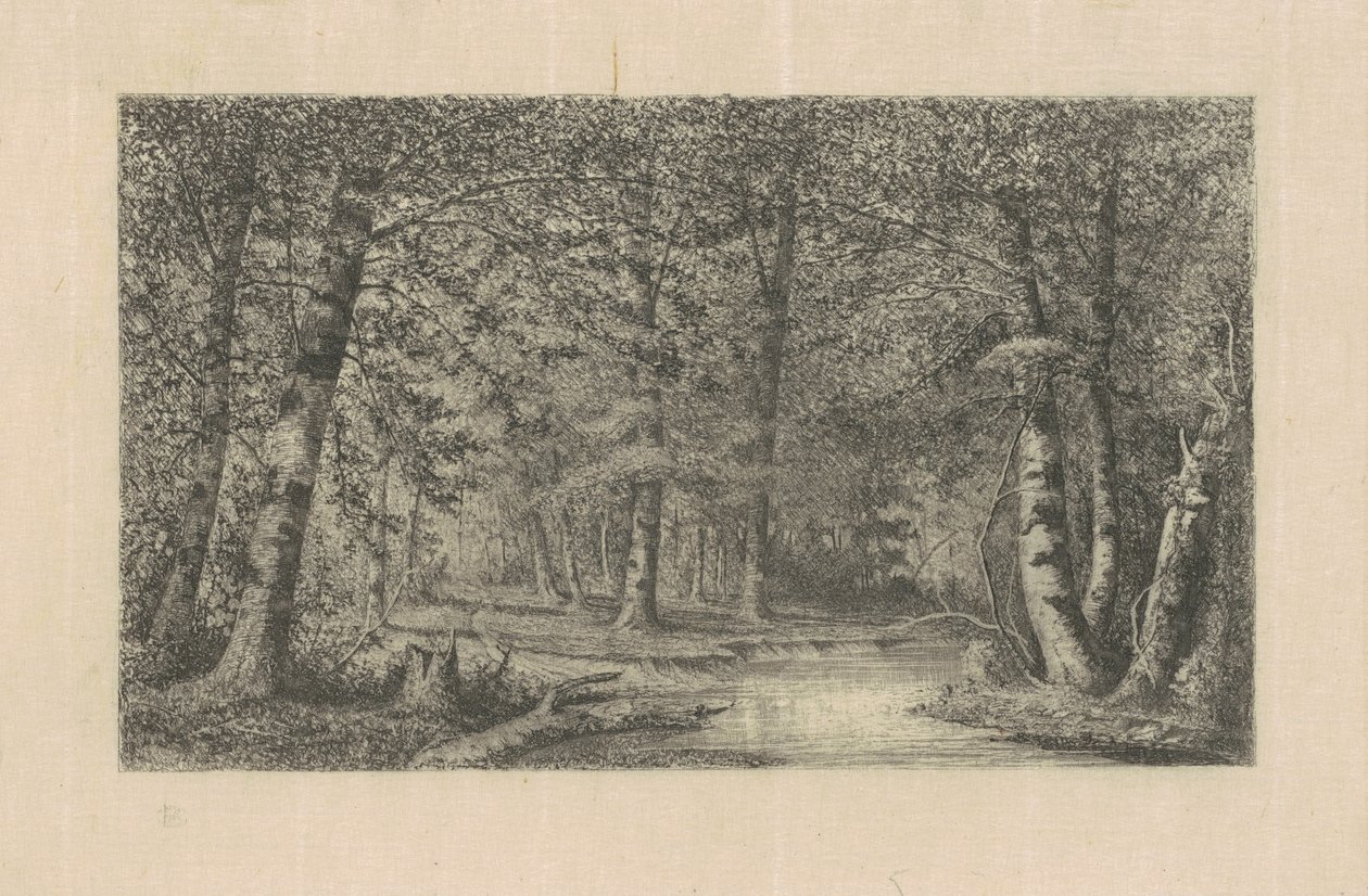 Bokskogen av Carl C. Brenner